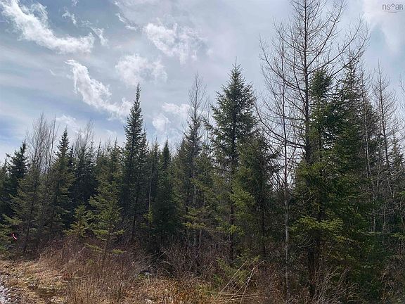 4th image of LOT Hunter Rd