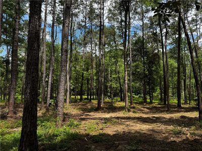 18.63 Acres Highway Rd #450, Folsom, LA, 70437