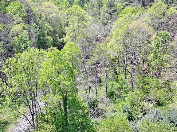 5th image of Bob Byrd Rd