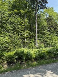 00 Loon Circle #E9, South Londonderry, VT, 05155