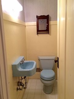 downstairs 1/2 Kohler bath