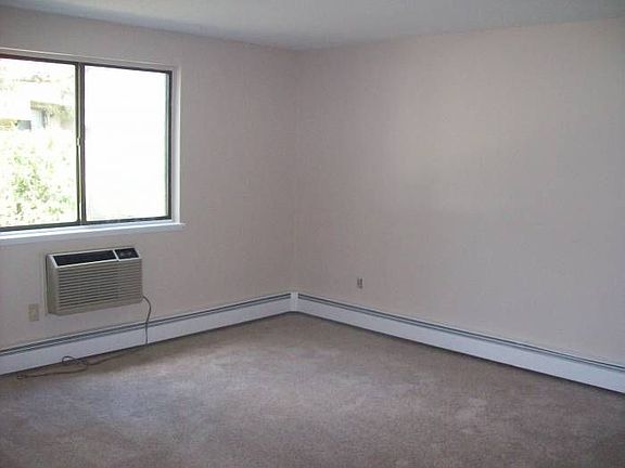 Sunfilled Room New Carpet