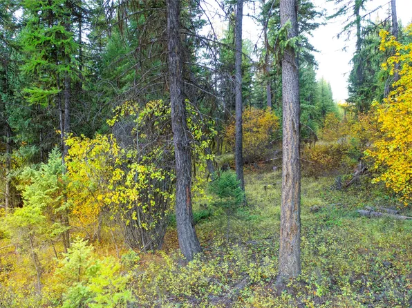 112 Koocanusa Trl, Eureka, MT 59917