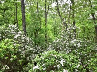 Tbd Knob Rd, Pisgah Forest, NC 28768