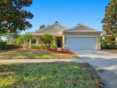 11337 Bridge Pine Dr, Riverview, FL, 33569
