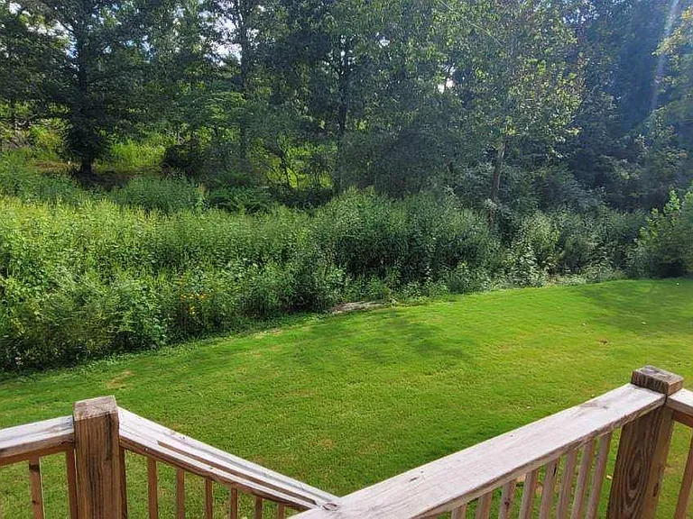 Back lawn