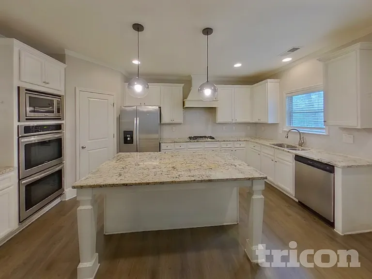 2429 Austin Common Way — Photo 6
