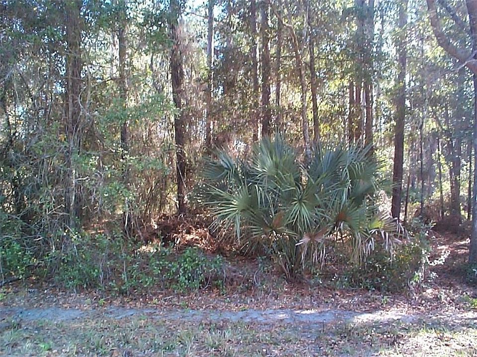 2nd image of 2772 S Highway 17