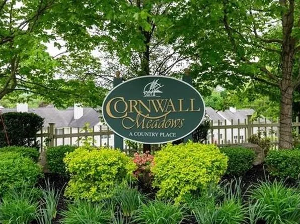 217 Cornwall Meadows Lane, Patterson, NY 12563