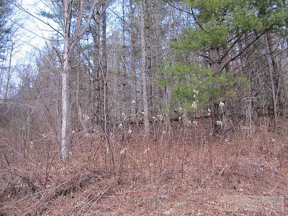 2nd image of Tbd Spicewood Drive