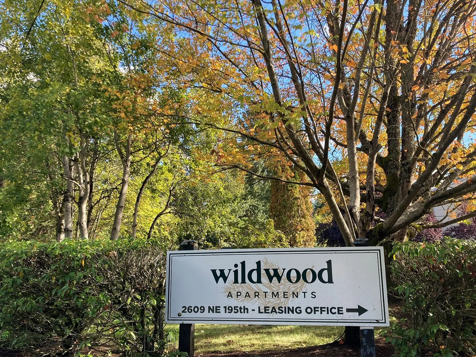 Wildwood Apartments — Photo 1