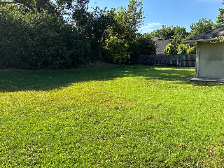 Large Backyard for kids or grandkids