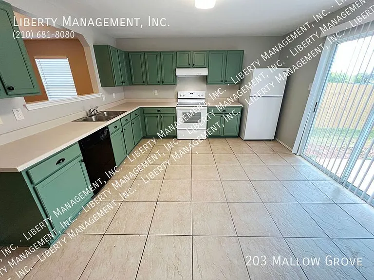 203 Mallow Grv — Photo 11