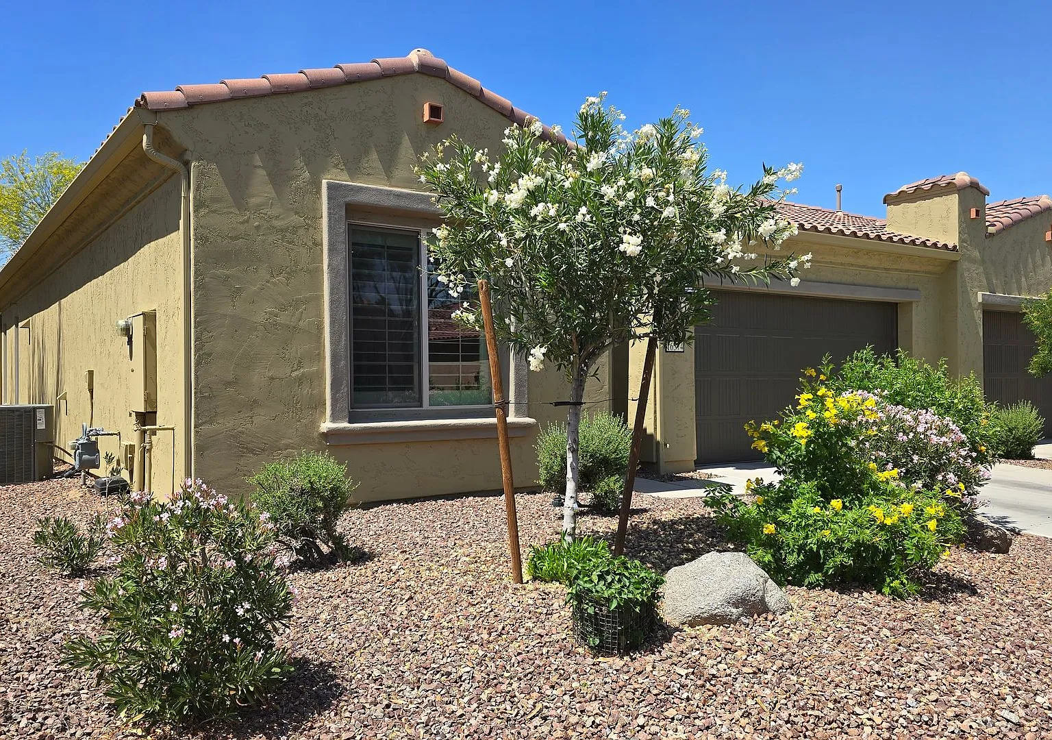 55+ Amenity rich Pebble Creek community! — Photo 2