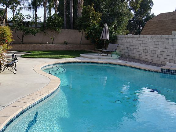 Back yard
