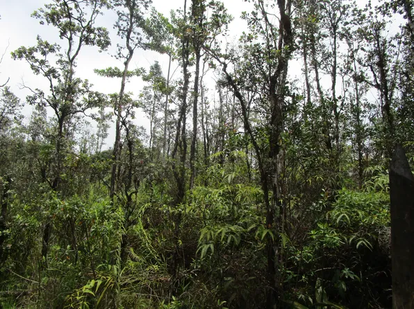 Road 9 Koloa Maoli Lot 5533, Kurtistown, HI 96760