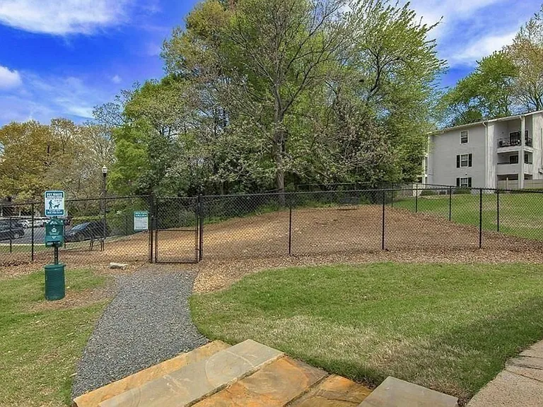 dog park