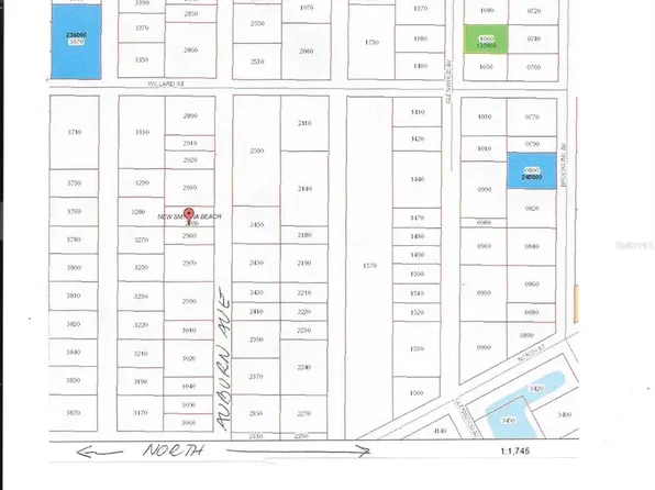 Auburn Ave Lot 295, New Smyrna Beach, FL 32168
