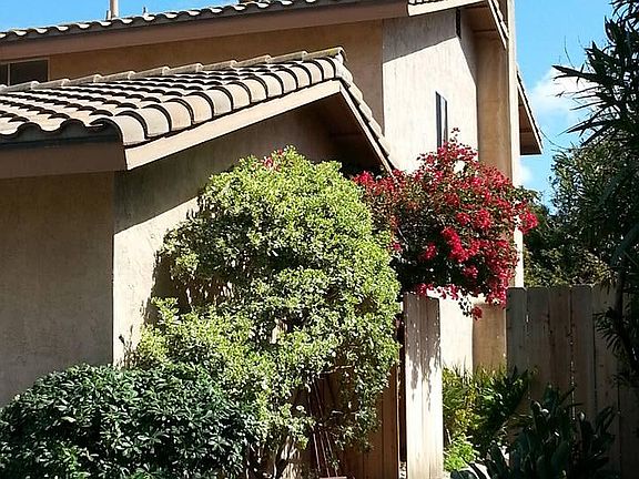 3rd image of 10533 Avenida Magnifica