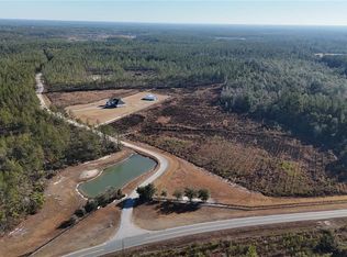 7291 Grey Hawk Rd, Manor, GA 31550