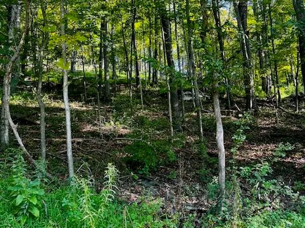 178 Saint Michaels Rd, Cogan Station, PA 17728