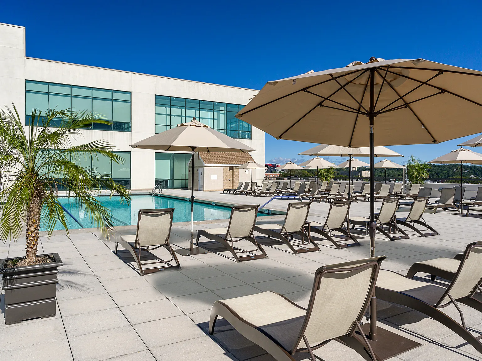 1 bed, 1.5 bath, 1039 sqft, $4,000 — Photo 2