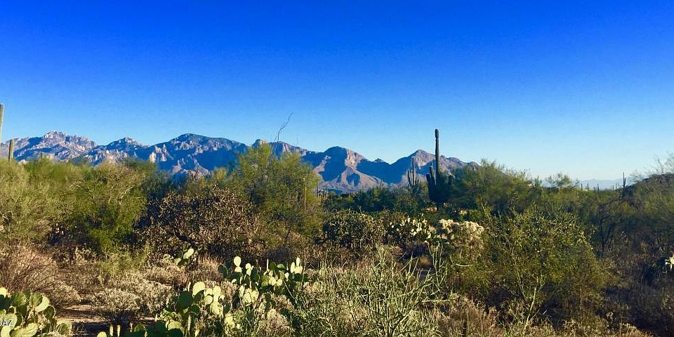 1st image of 1138 W Tortolita Mountain Cir