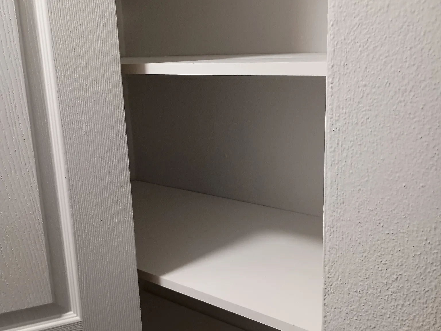 2 bed, 1000 sqft, $1,300 — Photo 3