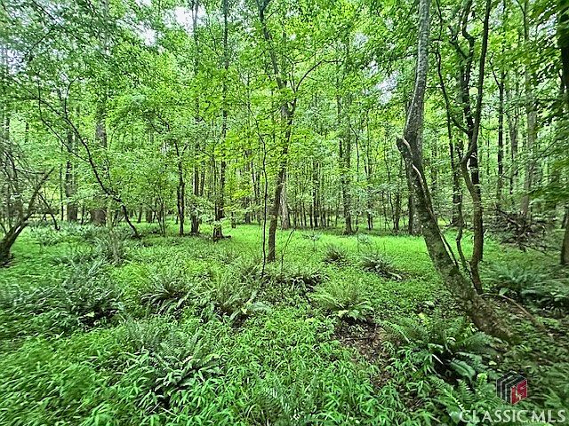 1st image of 0 Cedar Lane