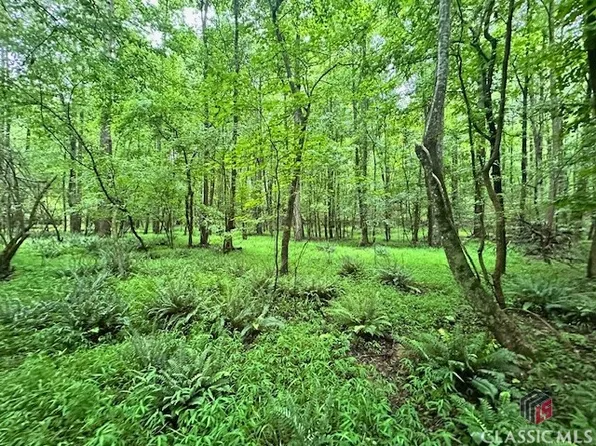 0 Cedar Lane, Danielsville, GA 30633