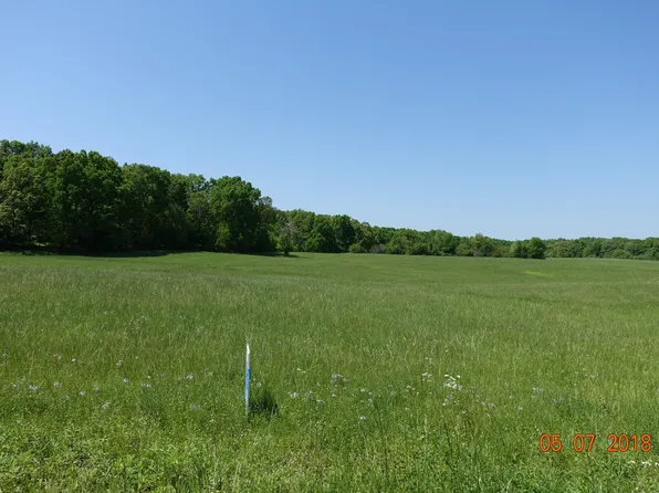 9017 Locust Creek Ln, Primm Springs, TN 38476