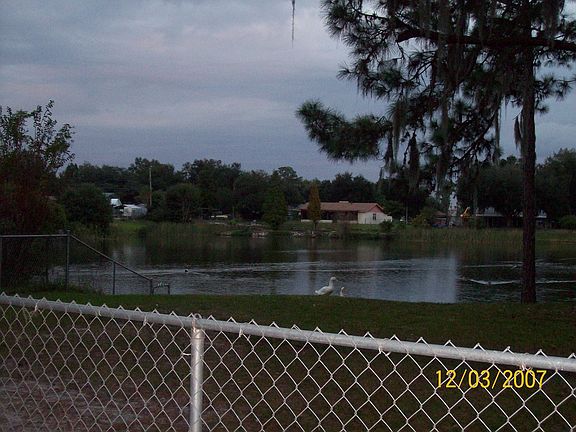 Partial back yard photo w/lake frontage
