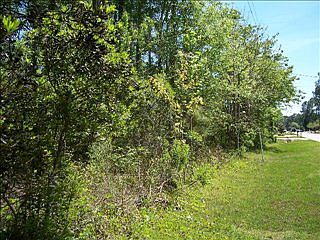 5th image of 44 Woodside Dr