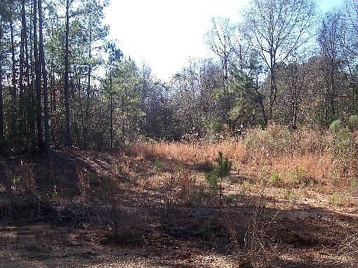 2nd image of 1025 Ruby Ln
