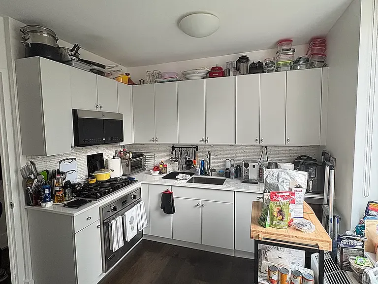 80 Riverside Blvd #8P — Photo 4