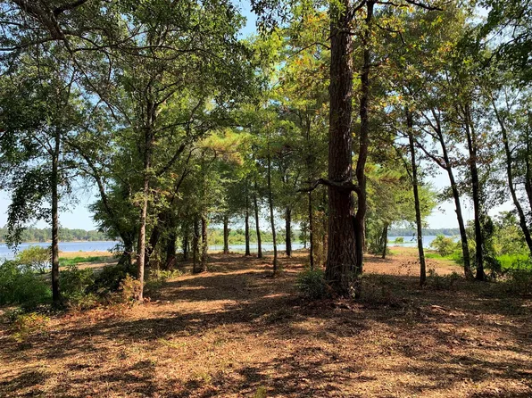 3196 Shadow Pine Dr, Larue, TX 75770