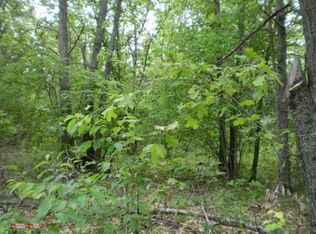 Cedar Creek Rd, Wellston, MI 49689