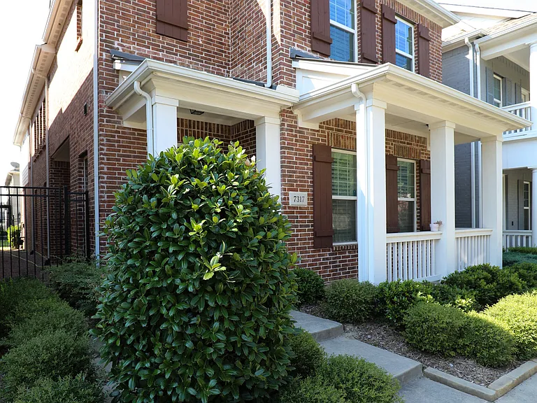 7317 Caladium Dr — Photo 2