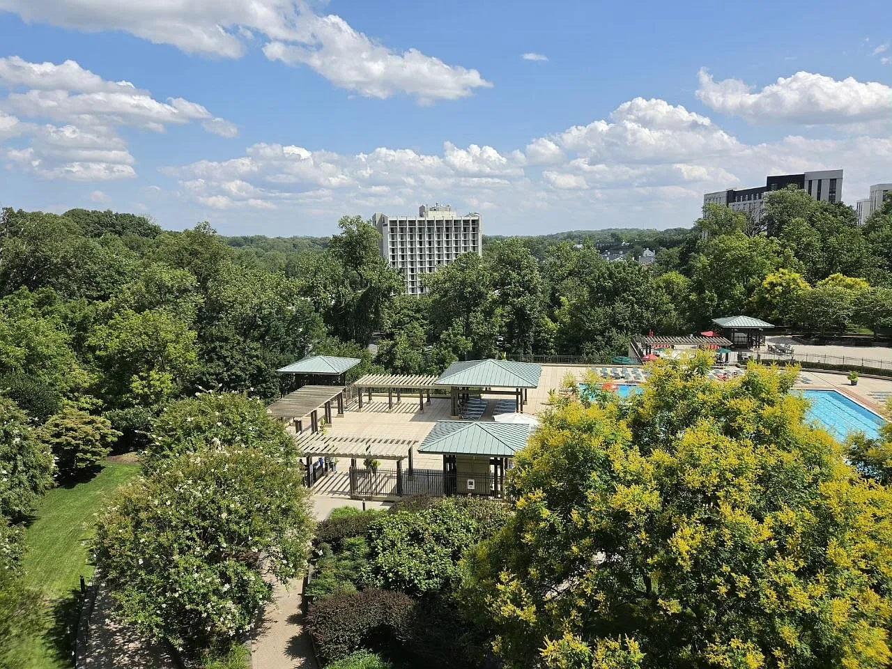 1 bed, 981 sqft, $2,195 — Photo 3