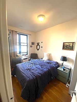 5th image of 33 Saint Marks Pl #3A