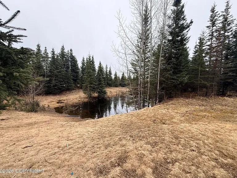 37350 Chinook St — Photo 46
