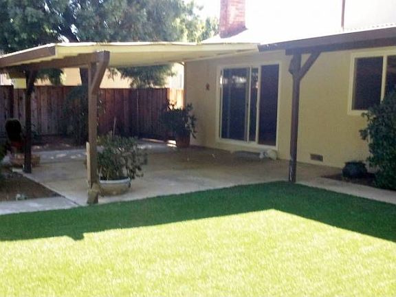 Low Maintenance Yard