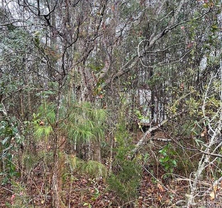1st image of 19660 S Lake Dr Lot 22