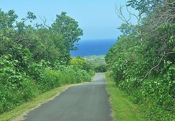3rd image of Kaimu Makena Homeste Lot D-12