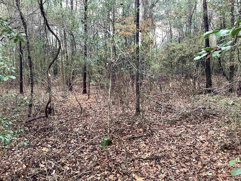 2333 Mulberry Rd, Brantley, AL 36009 MLS 22699 Zillow