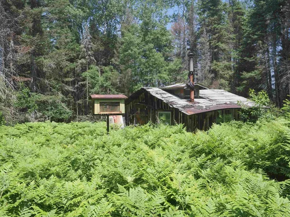 0 County Road C Rd, Republic, MI 49879