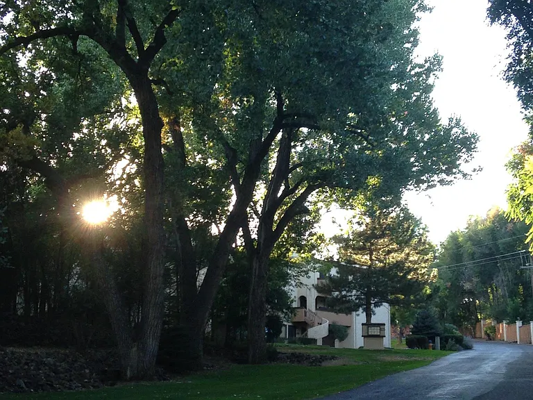 Driveway into condos