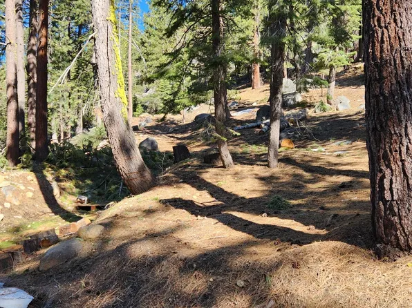 842 Ponderosa Way, Arnold, CA 95223