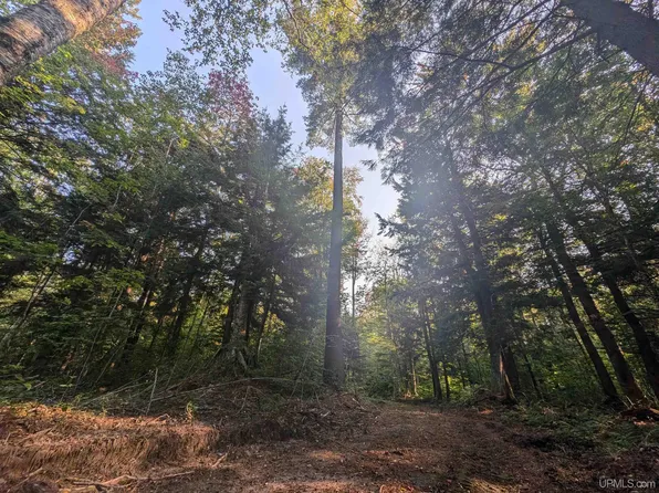 Sandtown Rd, Curtis, MI 49820