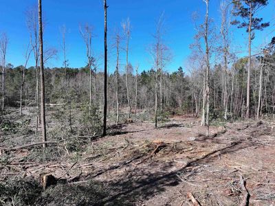 Kaitlyn Ln, MALVERN, AR, 72104